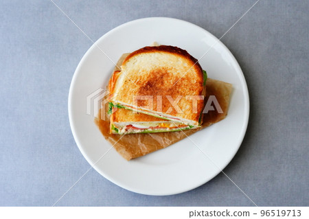 Hot sandwich 96519713