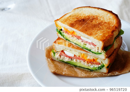 Hot sandwich 96519720