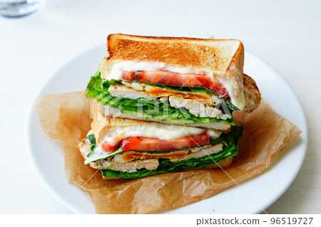 Hot sandwich 96519727