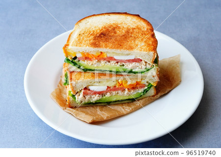 Hot sandwich 96519740