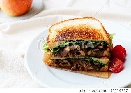 beef sandwich beef sandwich 96519797