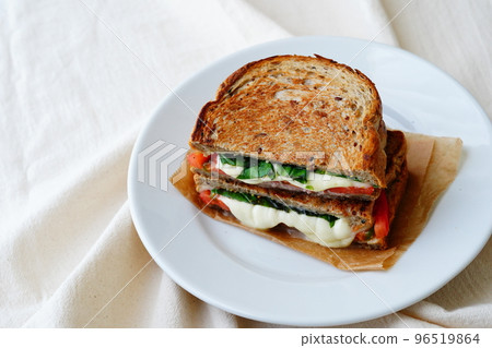 margherita sandwich 96519864
