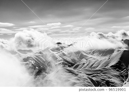 Christmas landscape with falling snow. Black and white. High contrast. 96519901