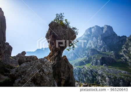 Cares trail - ruta del Cares - in Picos de Europa, Asturias, Spain Cares trail - ruta del Cares - in Picos de Europa, Asturias, Spain 96520643