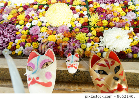 笠間菊花節 笠間菊花節 96521403