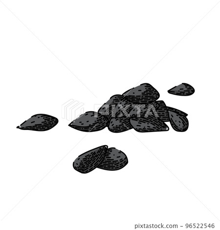 seed pesto sketch hand drawn vector 96522546