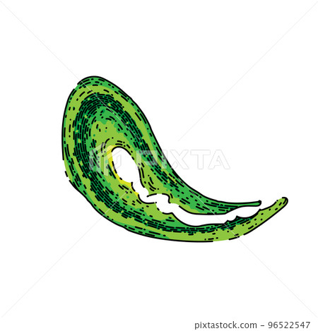 pesto sauce splash sketch hand drawn vector 96522547