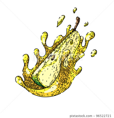 pear splash sketch hand drawn vector 96522721