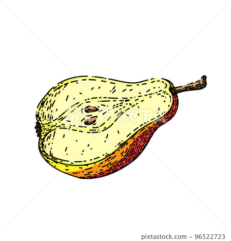 pear cut sketch hand drawn vector 96522723