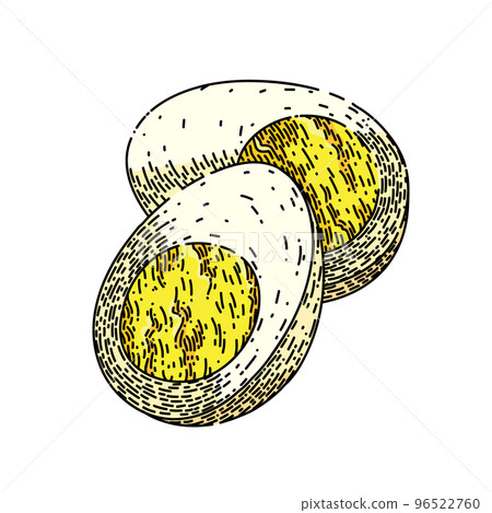 boiled egg sketch hand drawn vector 96522760