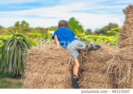 Boy blue t-shirt smile play climbs on down haystack bales of dry hay, clear sky sunny day. Outdoor kid children summer leisure activities. Concept happy childhood countryside, air close to nature 96523087