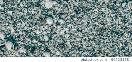 BANNER Close-up seashells on beach sand summer day. Abstract ocean background pattern collection BANNER Close-up seashells on beach sand summer day. Abstract ocean background pattern collection 96523178