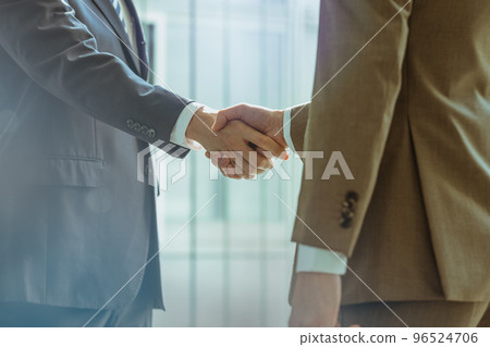 Two businessmen shaking hands 96524706