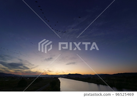 Refreshing late autumn dawn sky with waterfowl flying and a river reflecting the sky・Super wide angle・Sky mainly・221030am Refreshing late autumn dawn sky with waterfowl flying and a river reflecting the sky・Super wide angle・Sky mainly・221030am 96525469