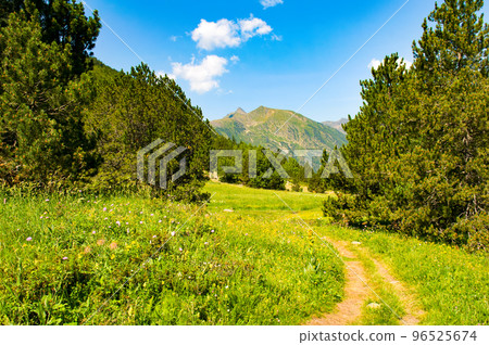 Pyrenees mountains in Andorra, forest, meadow and footpath. 96525674
