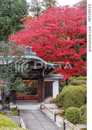 京都永仙院的紅葉 京都永仙院的紅葉 96526019