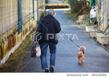 秋季公園路上一位老年婦女遛狗的後視 96526808