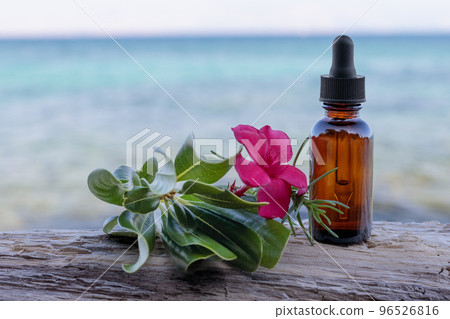 Flower essence therapy, a bottle with a dropper and a flower on the background of the sea 96526816