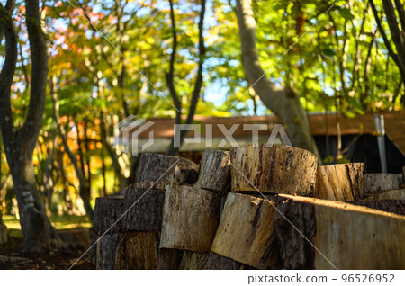 Pile of firewood 96526952