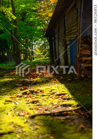 The setting sun of the firewood hut 96526953