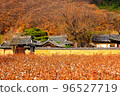 棉田 96527719