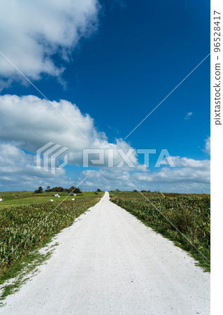 宗谷之丘白貝殼路(北海道) 宗谷之丘白貝殼路(北海道) 96528417