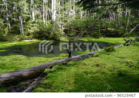 Komadori Pond near Mt. Senmaidake 96528467