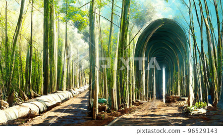 Bamboo Forest Tunnel Landscape Concept Map illustration 96529143