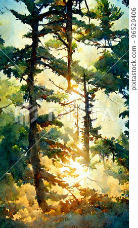 Competition of pine trees To sunlight necessary to sustain illustration Competition of pine trees To sunlight necessary to sustain illustration 96529406