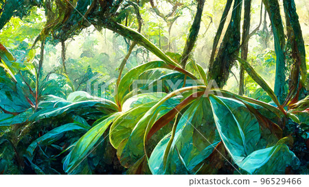 Tropical Rain forest Landscape Tropical forest Forest illustration Tropical Rain forest Landscape Tropical forest Forest illustration 96529466