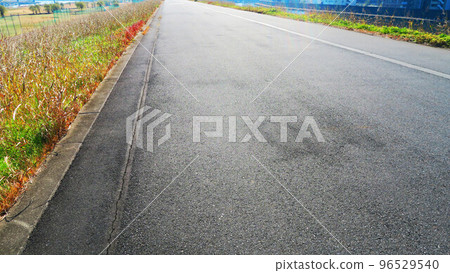 在陽光下閃耀的柏油路(荒川堤岸) 在陽光下閃耀的柏油路(荒川堤岸) 96529540