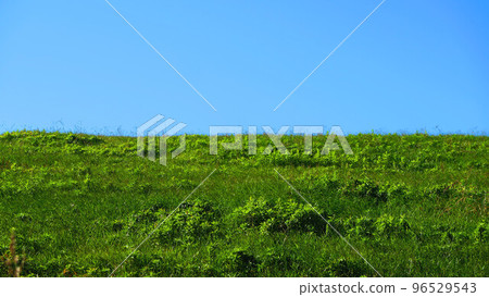 Arakawa銀行和藍天風景 Arakawa銀行和藍天風景 96529543