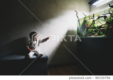 A small cute surprised baby sits on a pouf in a dark room and points finger at the beautiful freshwater aquascape with live aquarium plants, Frodo stones, redmoor roots covered by java moss. 96530798