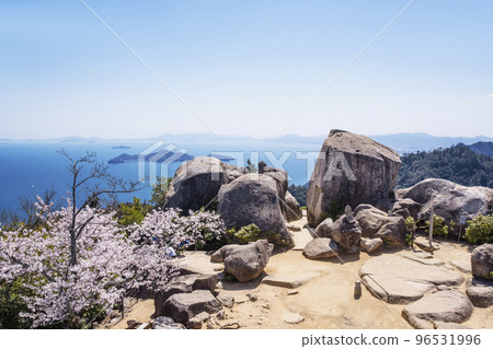 彌山櫻花、盛開的宮島櫻花、宮島春景、廣島旅遊景點、瀨戶內海和櫻花、2023 G7峰會 96531996