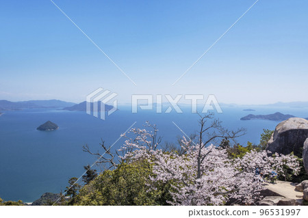 彌山櫻花、盛開的宮島櫻花、宮島春景、廣島旅遊景點、瀨戶內海和櫻花、2023 G7峰會 96531997