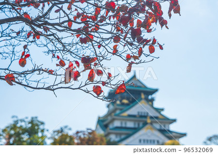[紅葉]秋天的大阪城公園[大阪城天守閣] 96532069