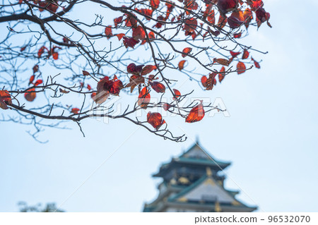 [紅葉]秋天的大阪城公園[大阪城天守閣] 96532070