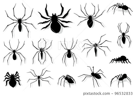 Spider silhouette collection. Black close-up insect, scary big spider isolated on white. Poisonous dangerous animal. Creepy wildlife bug 96532833