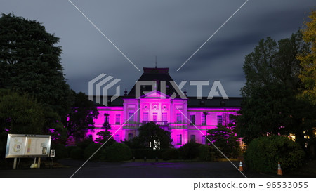 Former Kyoto Prefectural Government Main Building lit up in purple, the symbolic color of "eradication of violence against women" 96533055