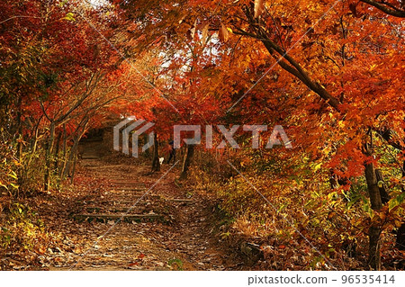 Autumn scenery of Bongsan 96535414