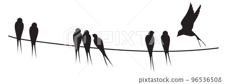 Electric wire with sitting bird silhouettes. Black wild fauna 96536508