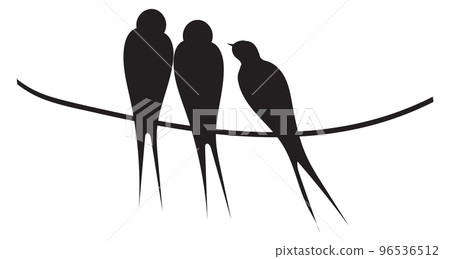 Birds sitting on wire. Black wild swallow silhouettes 96536512