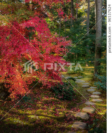 Chikusei City, Ibaraki Prefecture Autumn leaves at Saisho-ji Temple 96537624