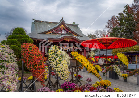 茨城縣笠間市笠間稻荷神社笠間菊祭 茨城縣笠間市笠間稻荷神社笠間菊祭 96537877