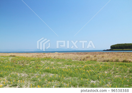 Scenery of Kashiwara coast in spring Scenery of Kashiwara coast in spring 96538388