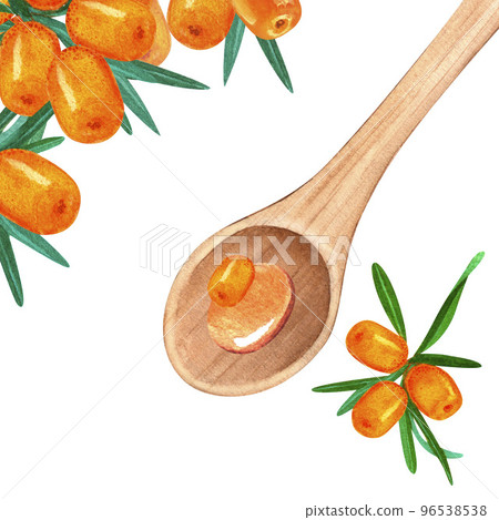 Watercolor spoon with sea buckthorn oil and a sprig of sea buckthorn on a white background. Perfect for invitation, greeting cards and other design. Wild berries seaberry 96538538