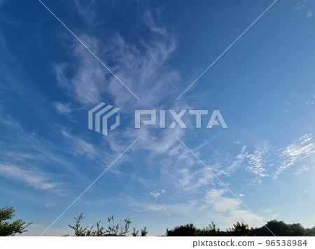 天堂 天堂 96538984