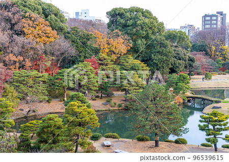 Autumn leaves at Rikugien Garden 96539615