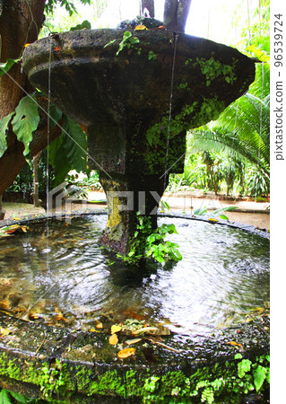 亞馬遜地區公園的噴泉 96539724