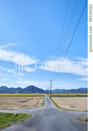 農場道路和秋天的天空 農場道路和秋天的天空 96540202